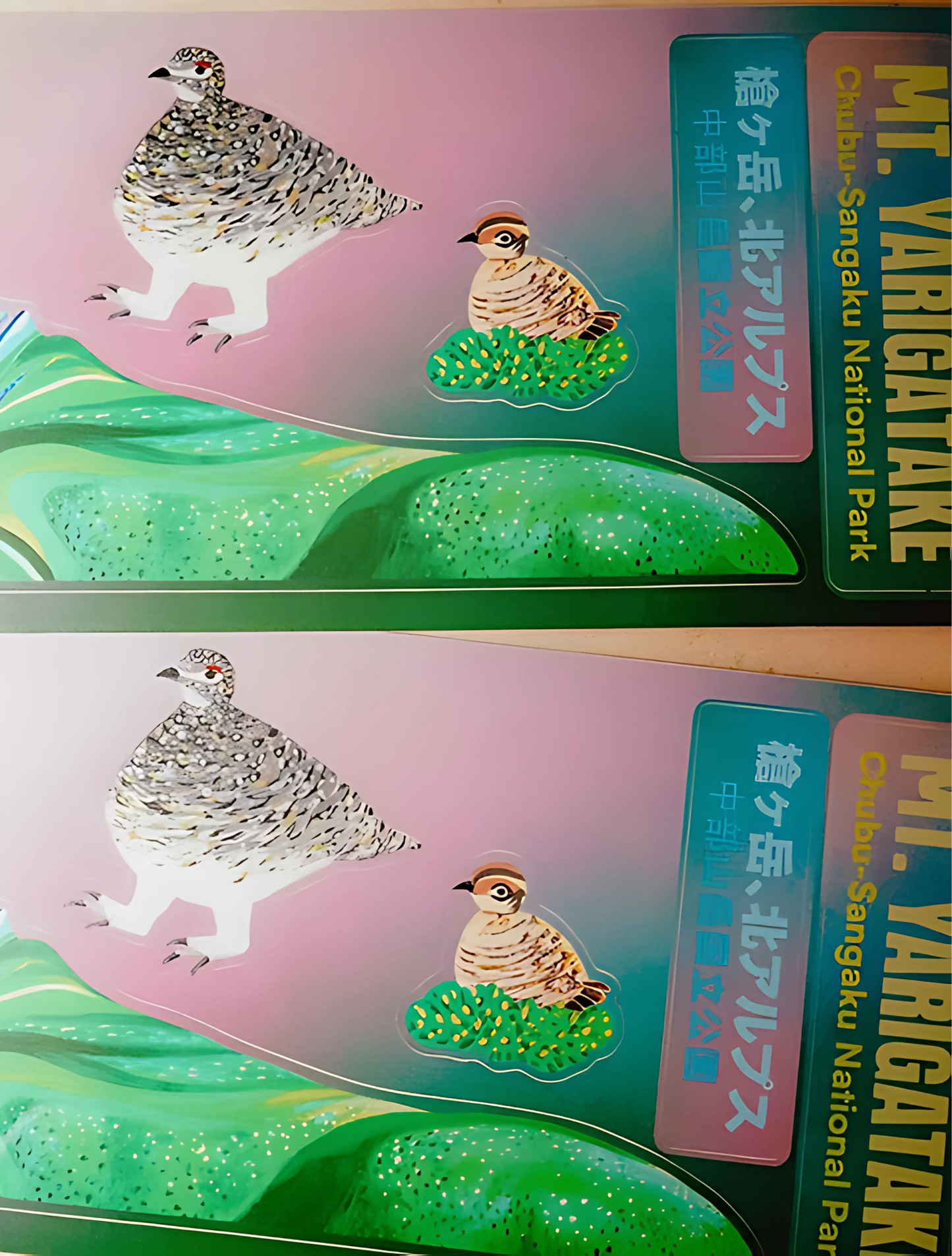 Hydrascape Stickers Mount Yarigatake Infinity Sticker