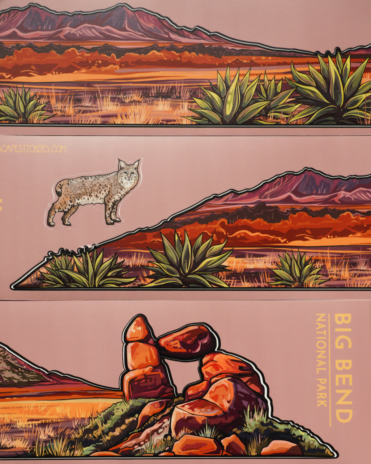 Hydrascape Stickers Big Bend National Park Infinity Sticker