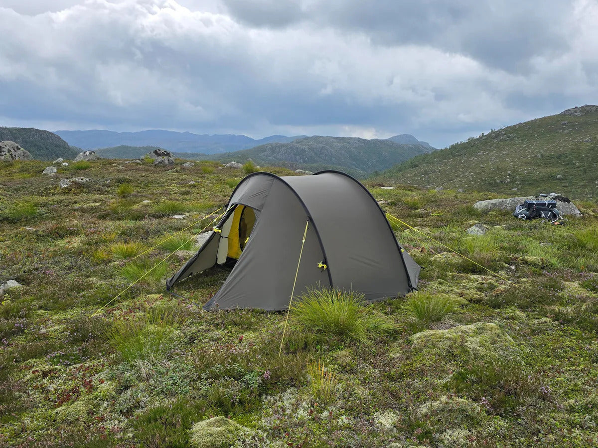 NORTENT Ly1