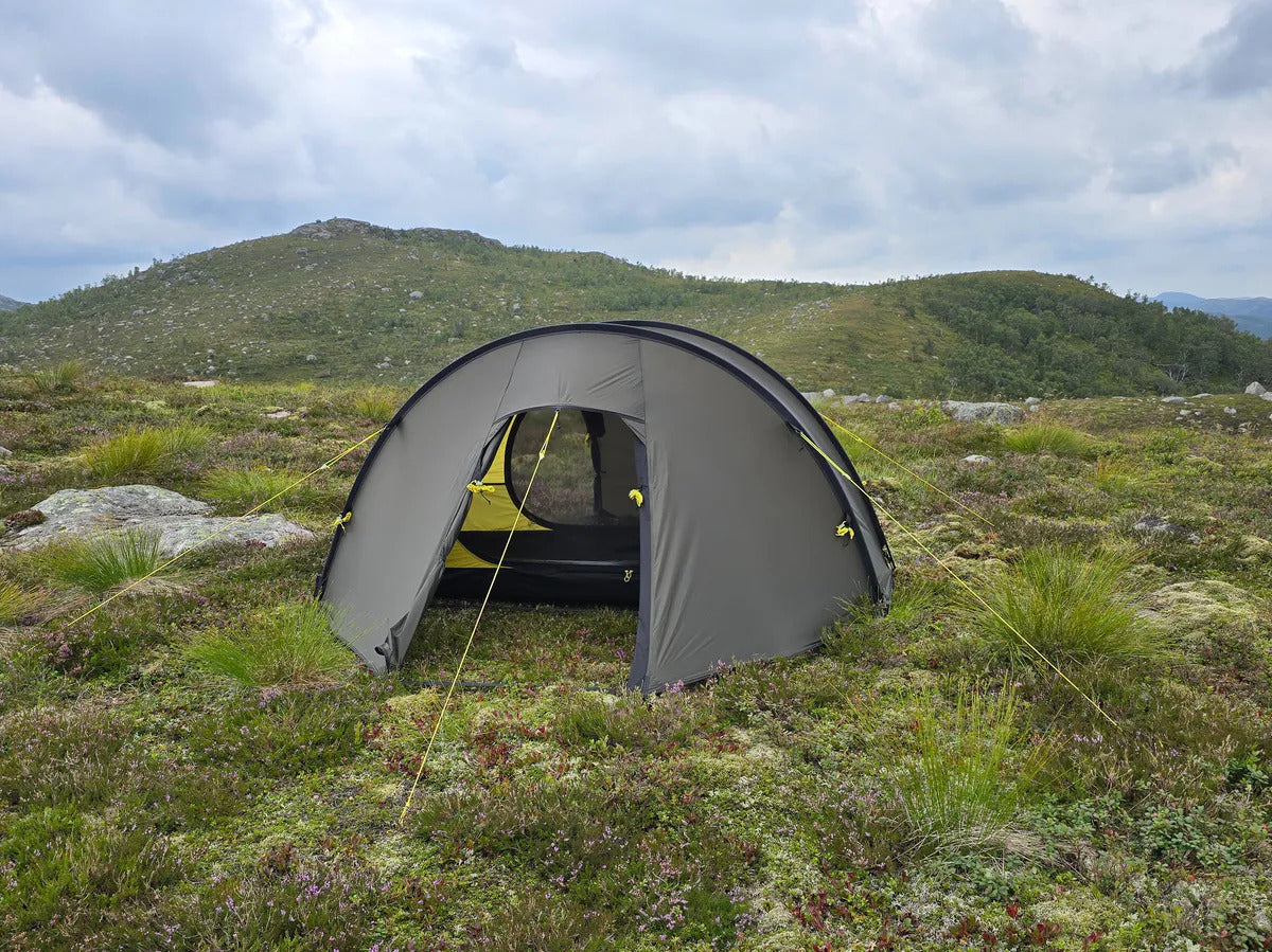 NORTENT Ly1