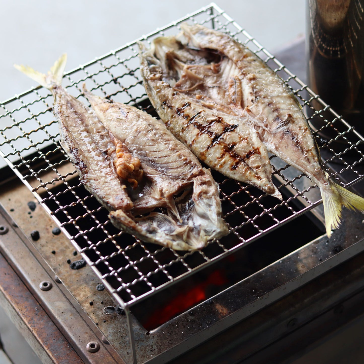 WTS Drip Tray & BBQ Mesh