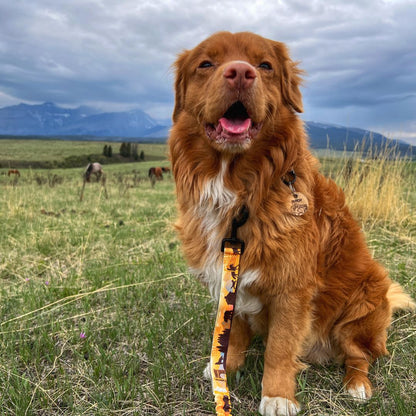 RMD Yellowstone Alpine Collar 