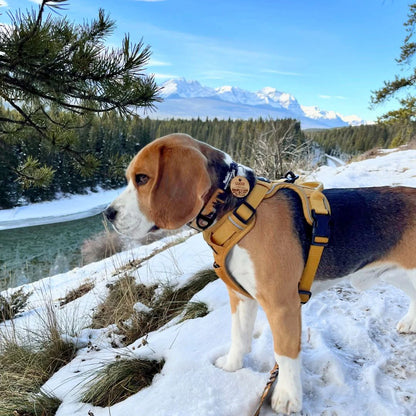 RMD Yellowstone Alpine Collar 