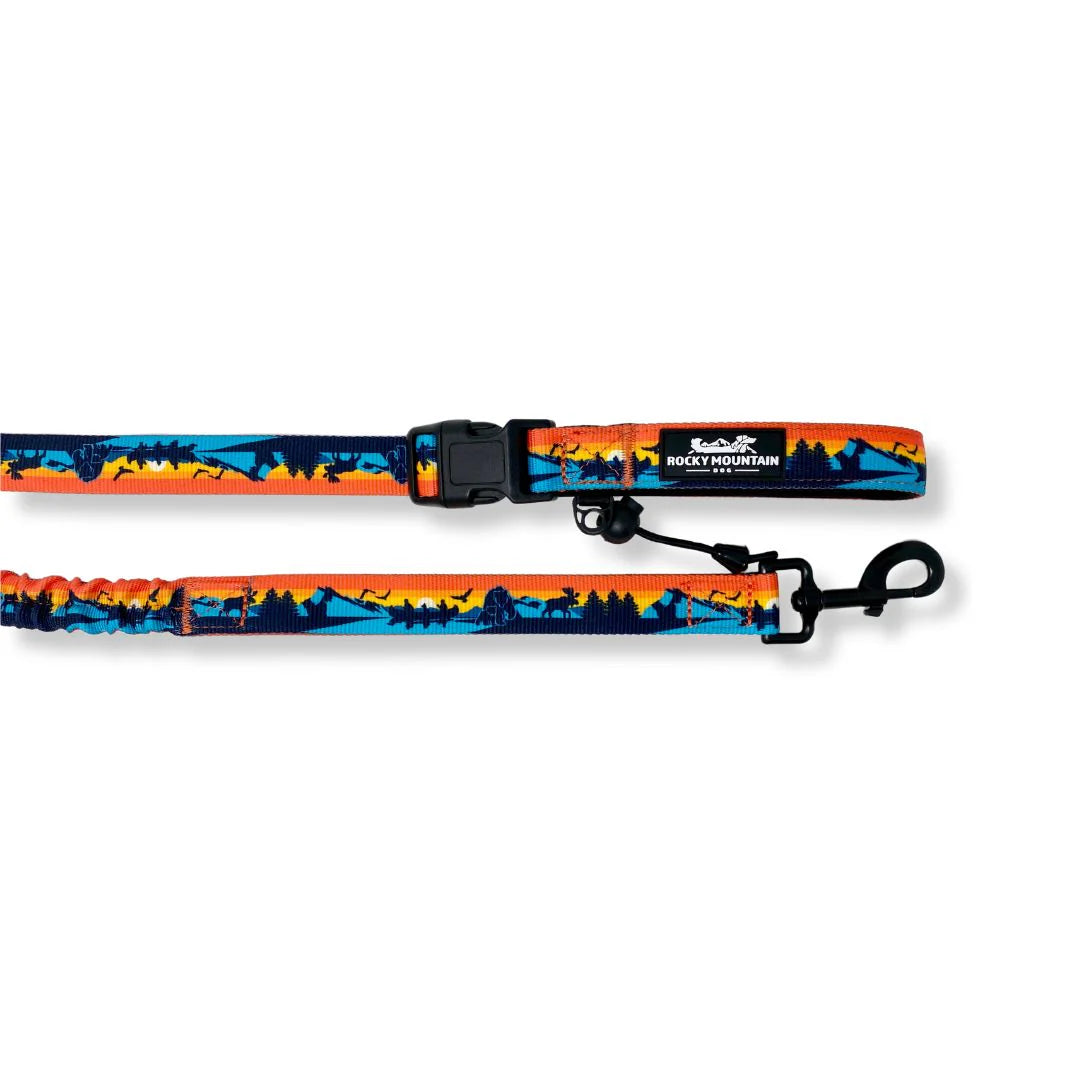 RMD Banff All Mountain Dog Leash