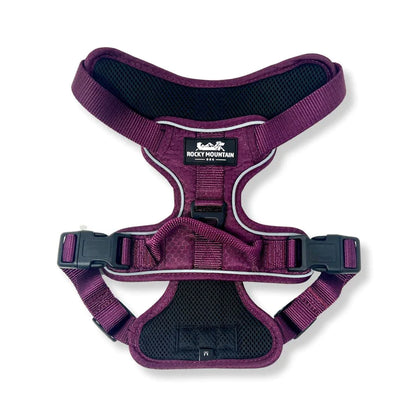 RMD Summt All-Terrain Harness -PURPLE-